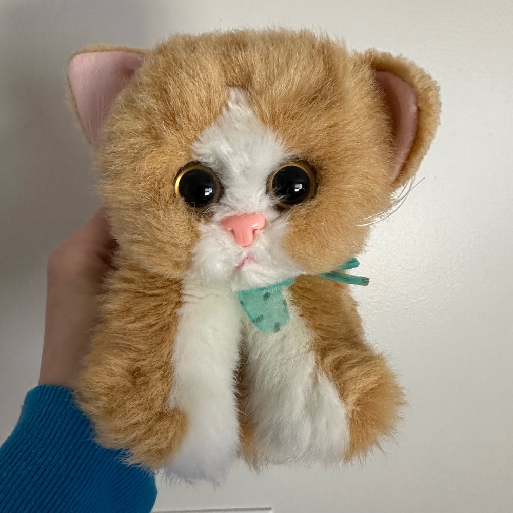 Dsi 2000 “tawny” kitty kitty kitten